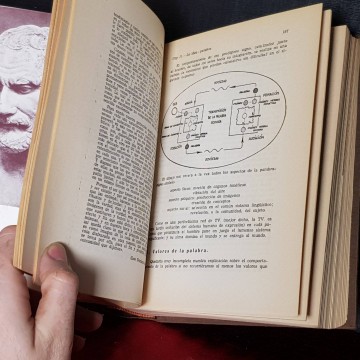 Curso de teoría y técnica literarias, J.L. Micó Buchón.