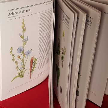 Plantas medicinales, Jan Volak.