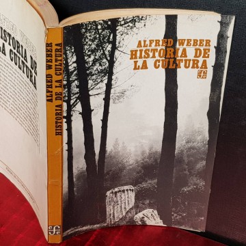 Historia de la cultura, Alfred Weber.