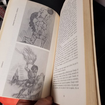 Lucumi, religión de los yorubas en Cuba, Carlos Canet.