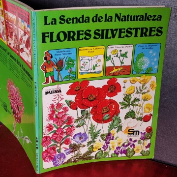 La senda de la naturaleza: flores silvestres.