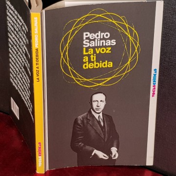 La voz a ti debida, Pedro Salinas.