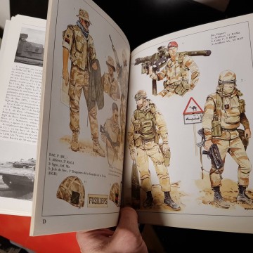 Los ejércitos de la guerra del Golfo, Gordon Rottman.