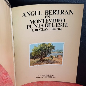 Ángel Bertran en Monteideo Punta del Este.