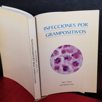 Infecciones por grampositivos, Juan J. Picazo.