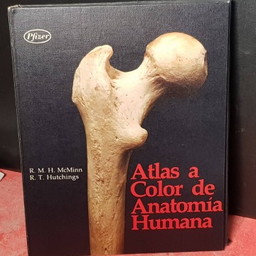 Atlas a color de anatomía humana.