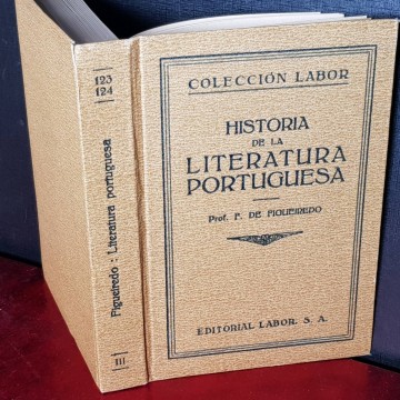 Historia de la literatura portuguesa.