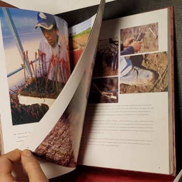 Secretos del Malbec Argentina, Carlos Goldin.