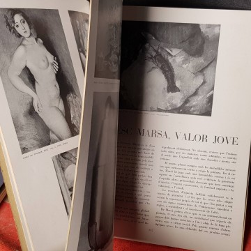 Art 6.