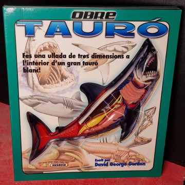 Obre tauró, David George Gordon.