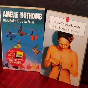 Lote 2 novelas de Amélie Nothomb (en francés).