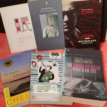 Lote 6 novelas en inglés.