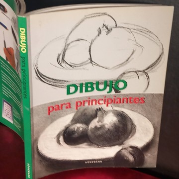 Dibujo para principiantes.