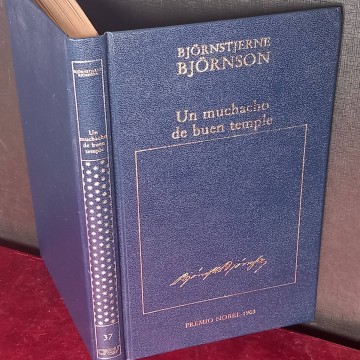 Un muchacho de buen temple, Bjornstjerne Bjornson.