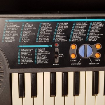 Órgano Casio SA-65