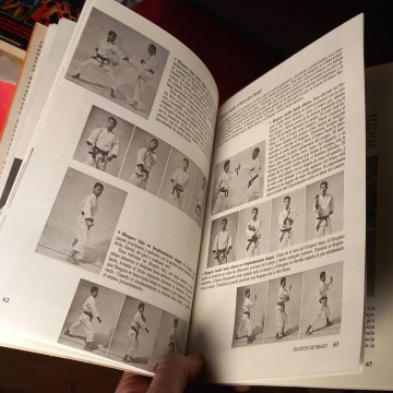 Taekwondo: Karate coreano, Sihak Henry Cho.