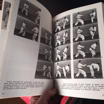 Karate superior: Kumite 2, M. Nakayama.