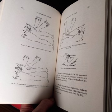 El masaje en el deporte, George Gladman.
