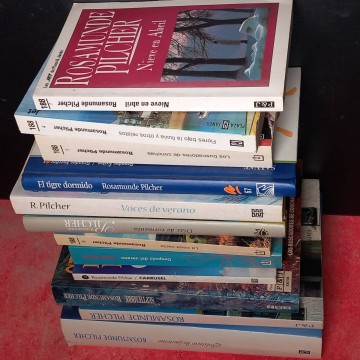Lote 12 novelas de Rosamunde Pilcher.