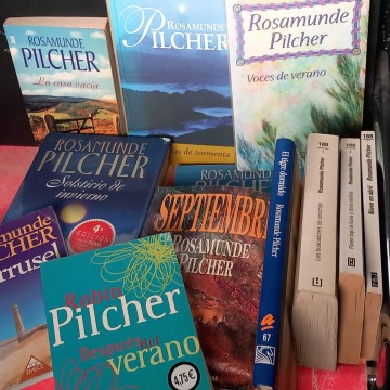 Lote 12 novelas de Rosamunde Pilcher.