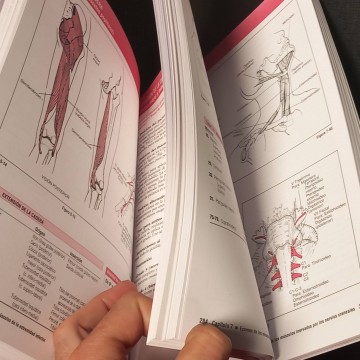 Pruebas funcionales musculares, Helen J. Hisolp.