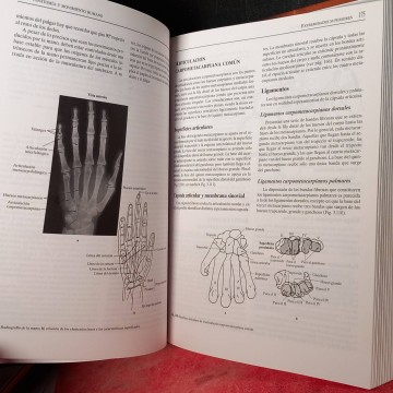 Anatomía y movimiento humano: estructura y funcionamiento, Niguel Palastanga.