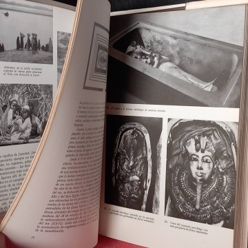 Tutankhamen: vida y muerte de un faraón.
