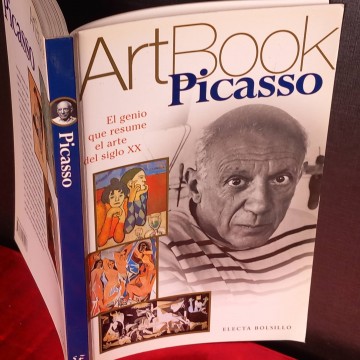 Picasso Art Book.