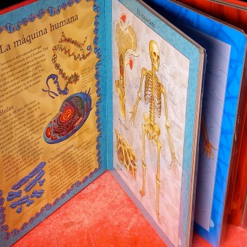 El cuerpo humano - libro puzzle.
