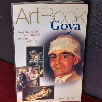 Goya art book.