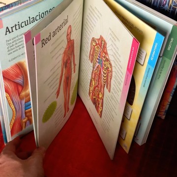 Gran libro del cuerpo humano.
