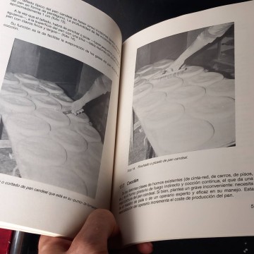 Manual práctico de panadería, C. Vallejo Díez.