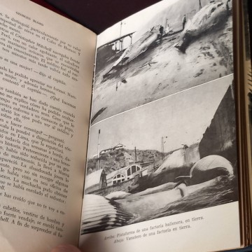 Vida y muerte de las ballenas, Georges Blond.
