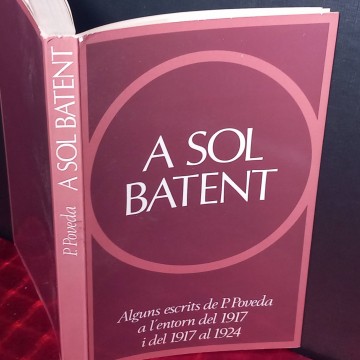 A sol batent, Pedro Poveda Castroverde.