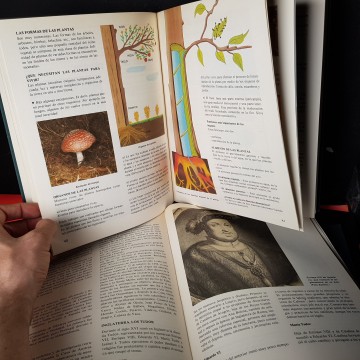 Enciclopedia temática de cultura general primera edición afha 20 €