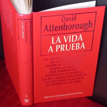La vida a prueba, David Attenborough.