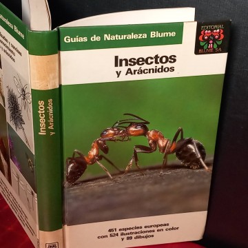 Guía de Insectos y arácnidos.