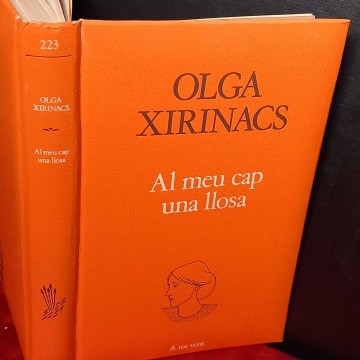 Al meu cap una llosa, Olga Xirinacs.