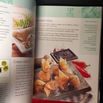Cocina de Asia para principiantes y cocineros expertos.