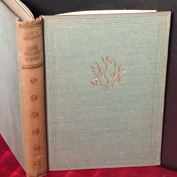 Llibre dels bons auguris, Josep M. López Picó.