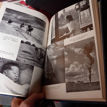 Anuario fotográfico sombras 1946.