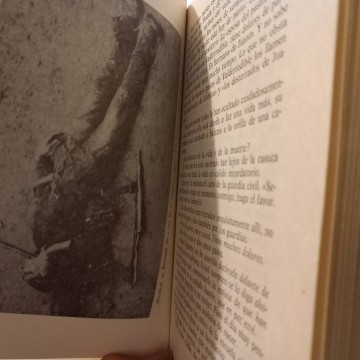 Los que se echaron al monte, Isidro Cicero Gómez.