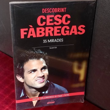 Descubriendo a Cesc Fàbregas, Jordi Gil (nuevo).