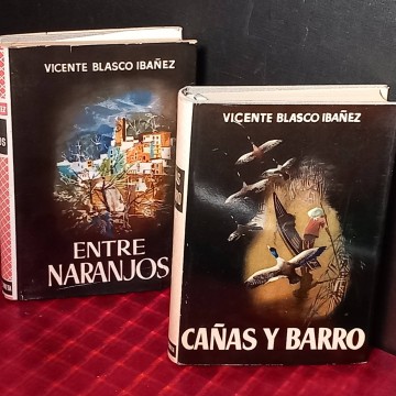 Cañas y barro y Entre naranjos, Vicente Blasco Ibáñez.