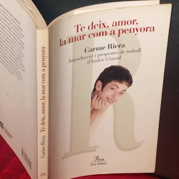 Te deix, amor, la mar com a penyora, Carme Riera.