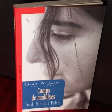 Camps de maduixes, Jordi Sierra i Fabra.