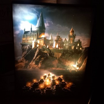 Harry Potter light up canvas.