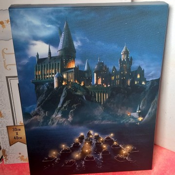Harry Potter light up canvas.