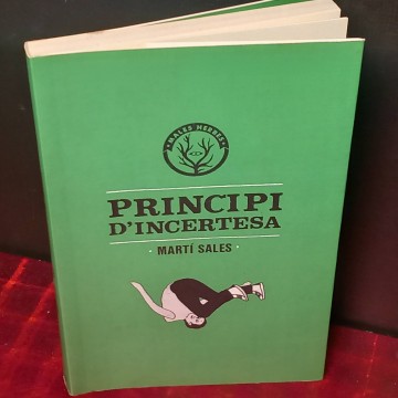 Principi d'incertesa, Martí Sales.