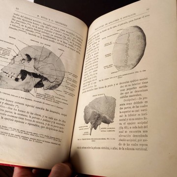 Prácticas de anatomía y fisiología, Enrique Rioja Lo Bianco.